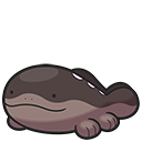 Clodsire