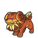 Dachsbun
