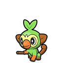 Grookey