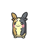 Morpeko