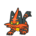 Torracat